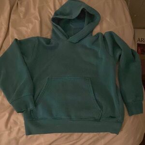 Teal/Green Tna perfect fit hoodie